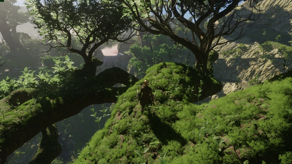 Image uploaded by Arthur Silva