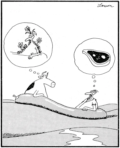 GIF uploaded by Cody