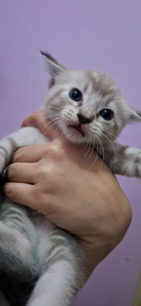 Image uploaded by Jane