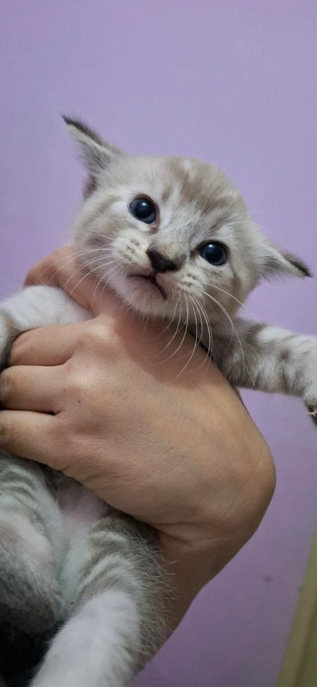 Image uploaded by Jane