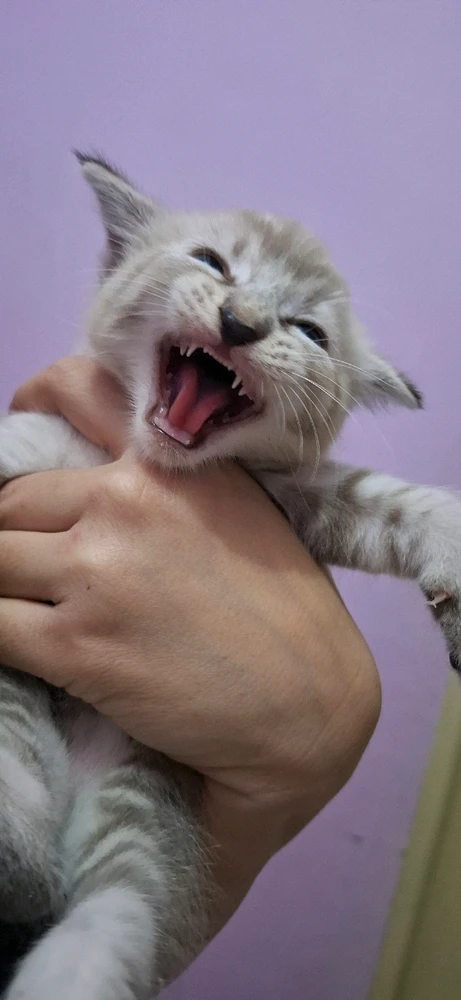 Image uploaded by Jane