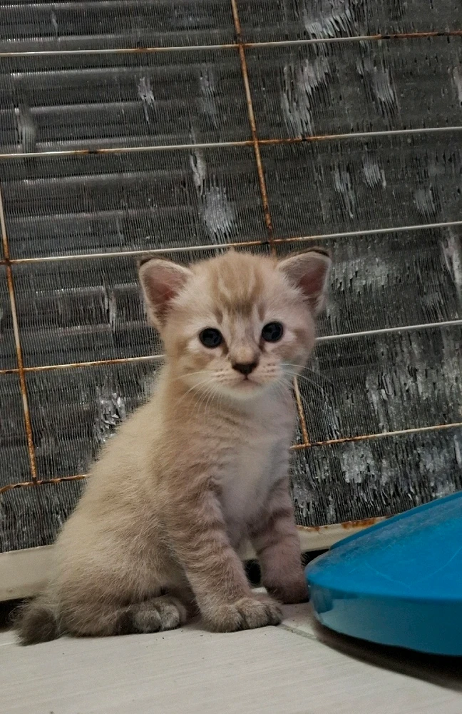 Image uploaded by Jane