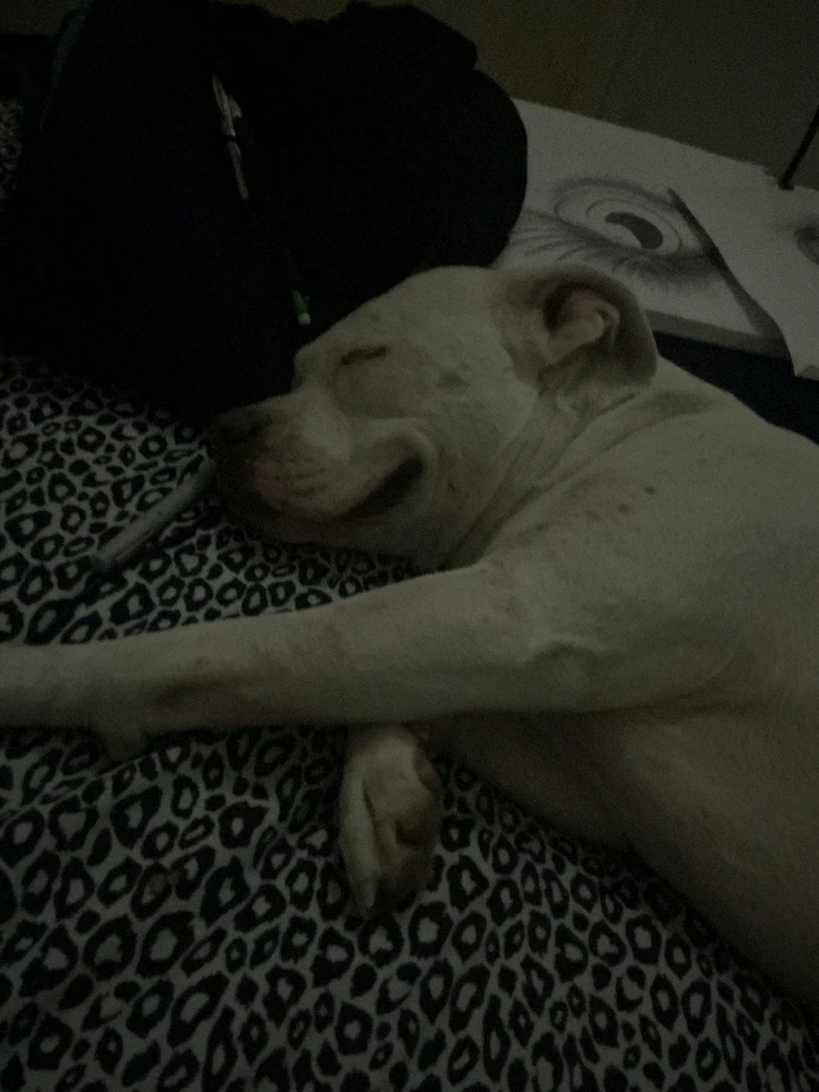 Image uploaded by Charlie Bonnett