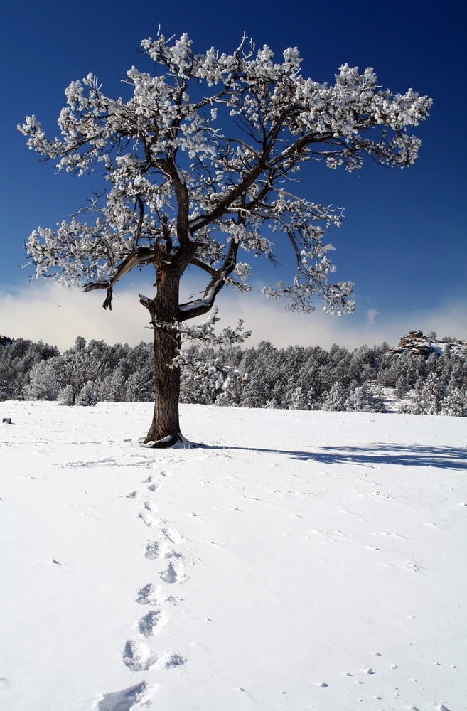 Image uploaded by Steven