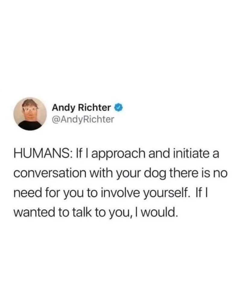 GIF uploaded by Allison