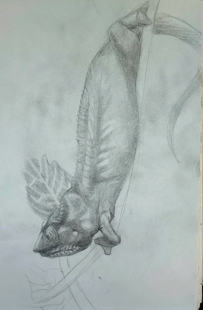 GIF diunggah dening Derrick