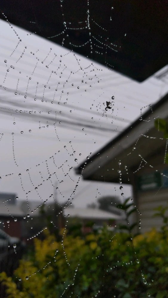 GIF subido por Marcelo