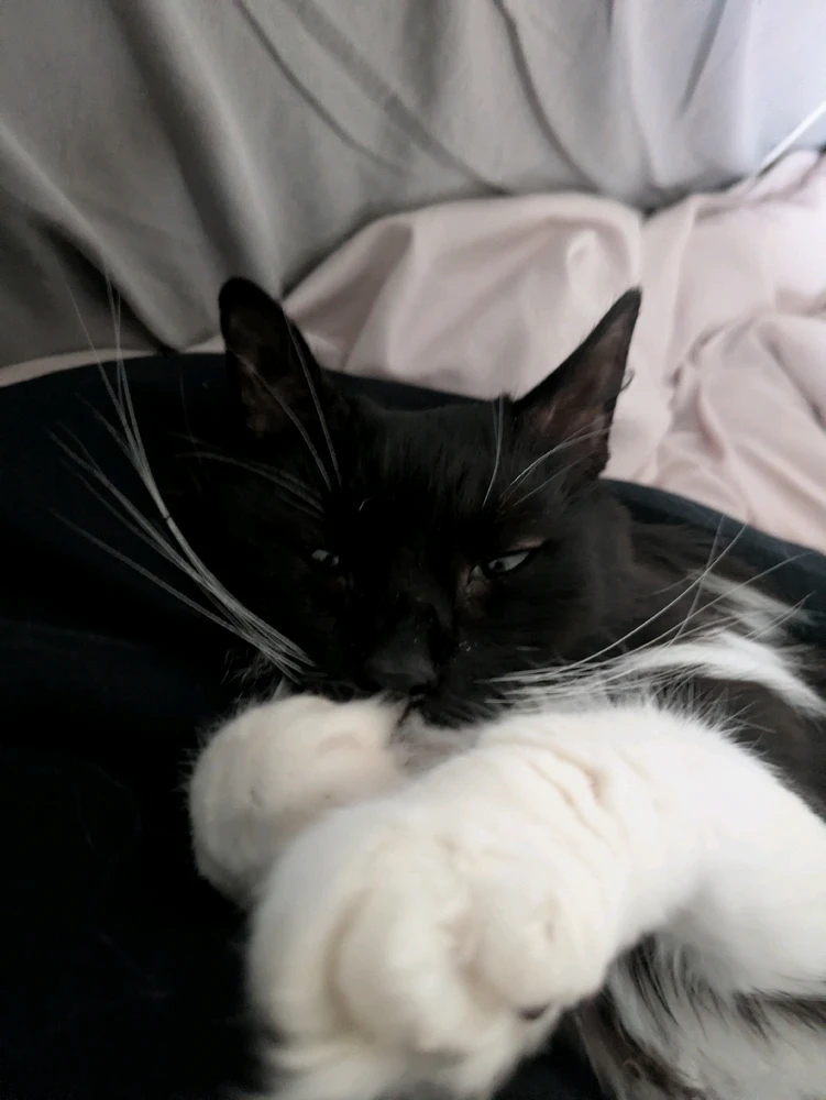 GIF uploaded by Peter