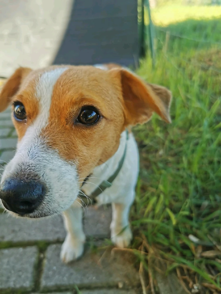 Immagine caricata da Paolo