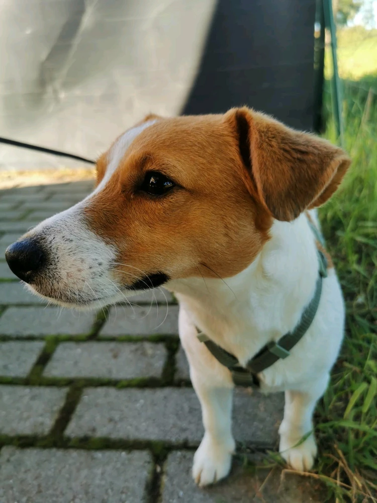 Immagine caricata da Paolo