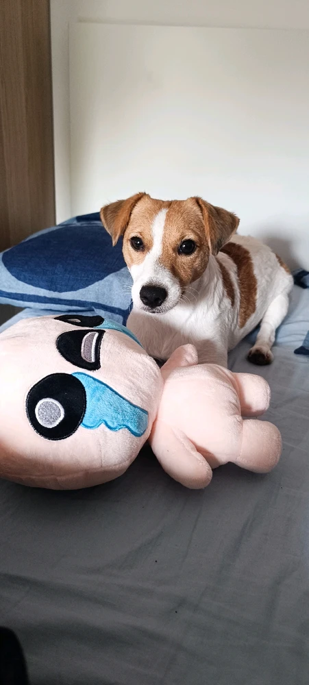 Immagine caricata da Paolo