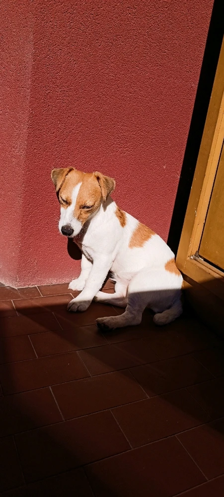 Immagine caricata da Paolo