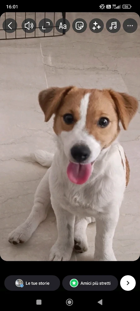 Immagine caricata da Paolo