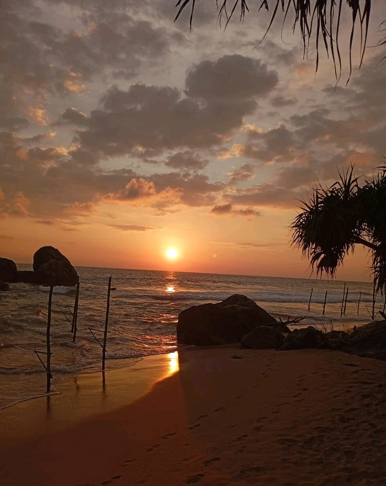 Image uploaded by Mirae