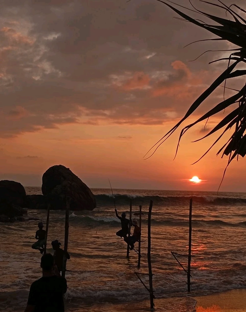 Image uploaded by Mirae