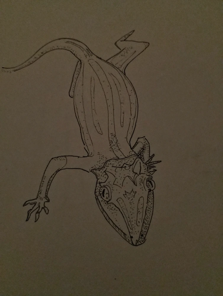 GIF uploaded by Kevin