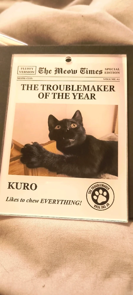 GIF uploaded by Jodie