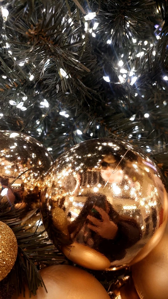 Image uploaded by Kirei