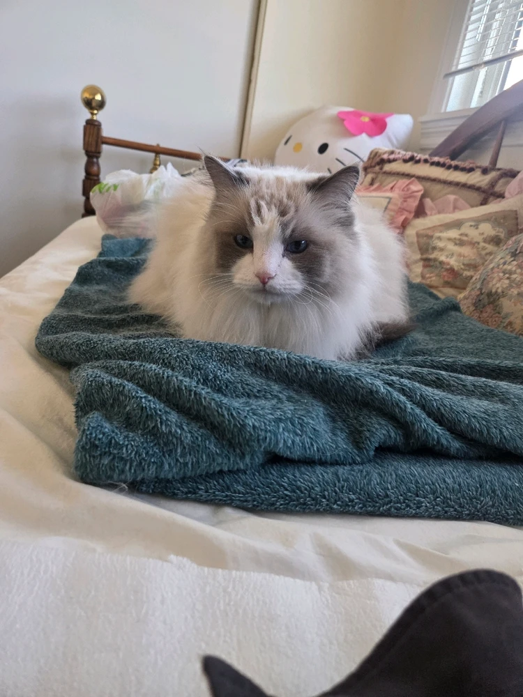 GIF uploaded by Jason