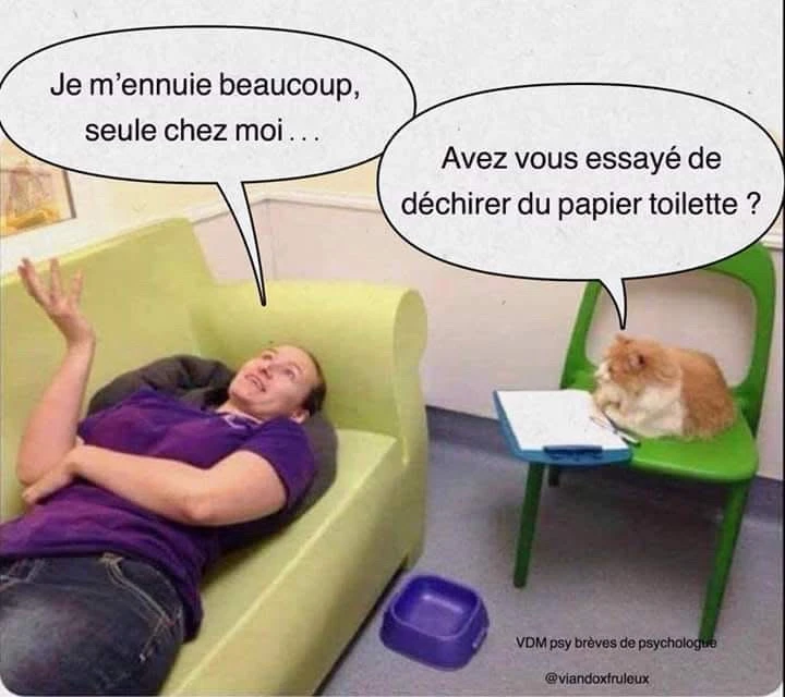 GIF ajouté par Maxine