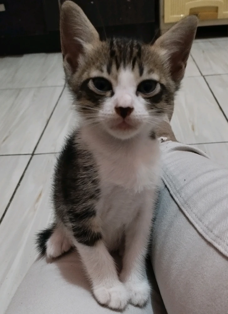 GIF uploaded by RaNdoM