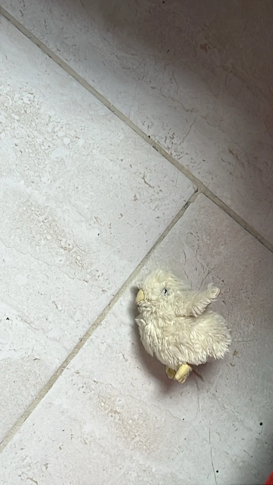 GIF subido por Sebass