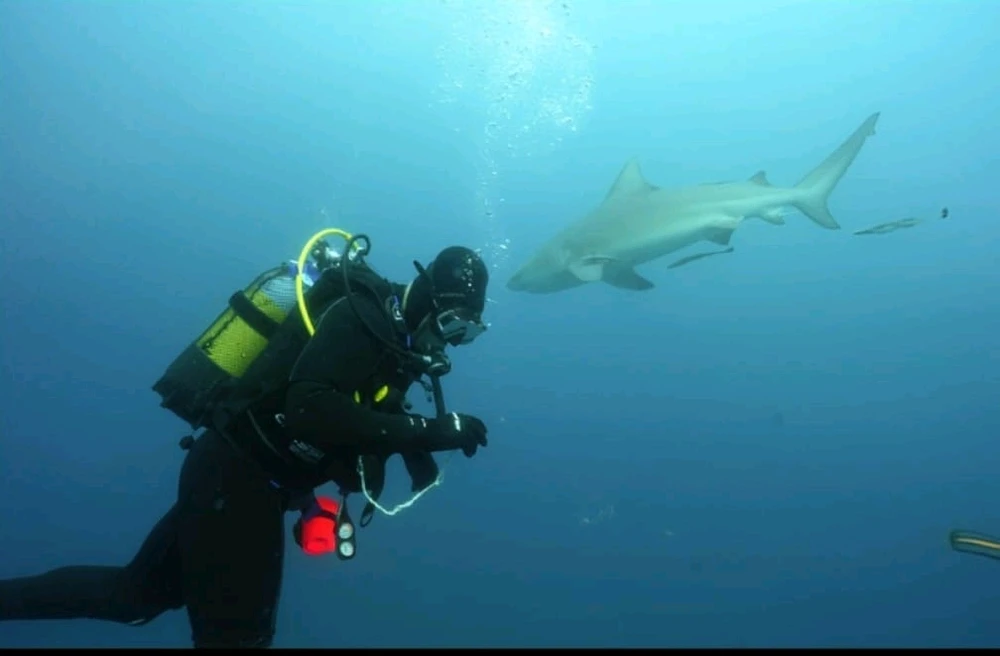 Gambar diunggah dening David R