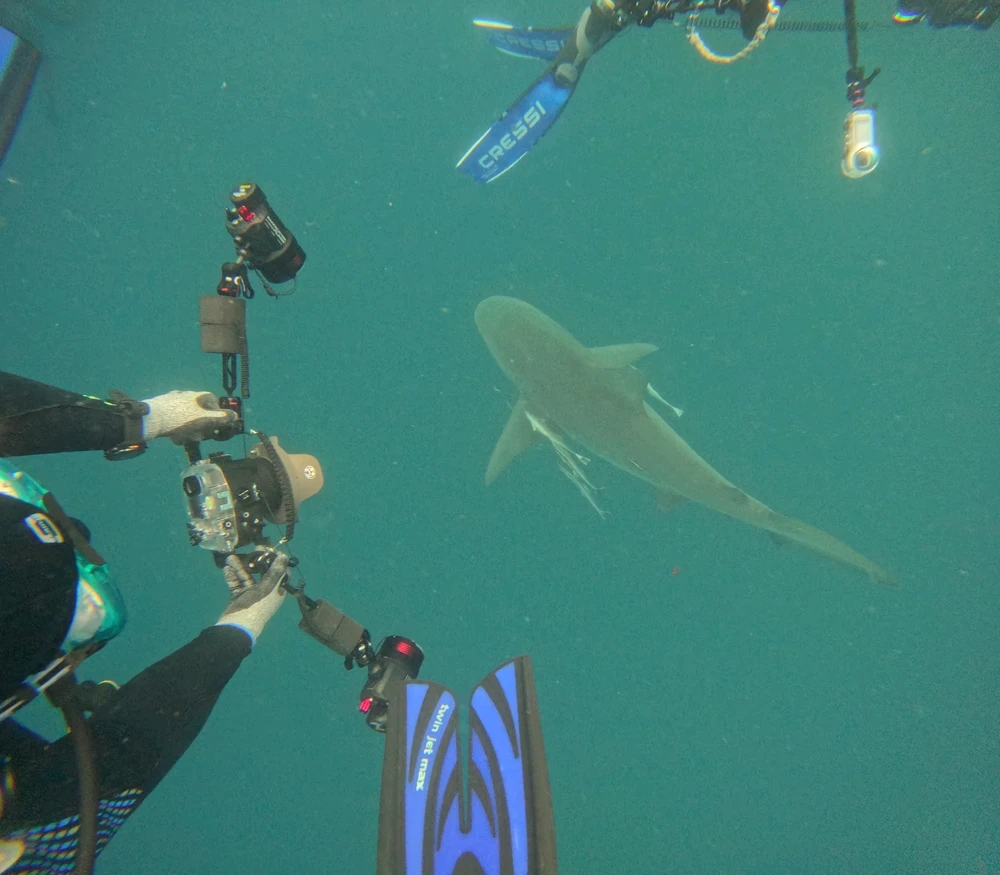 Gambar diunggah dening David R