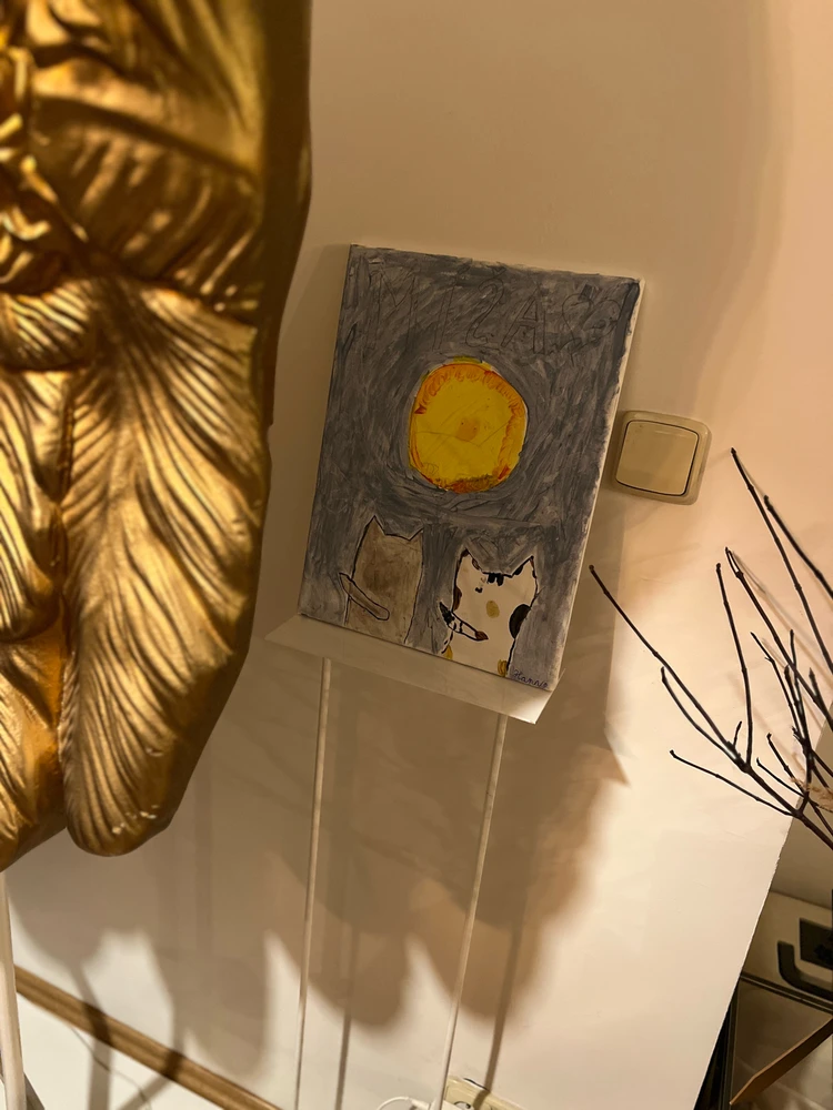 Obrázek nahrál mira