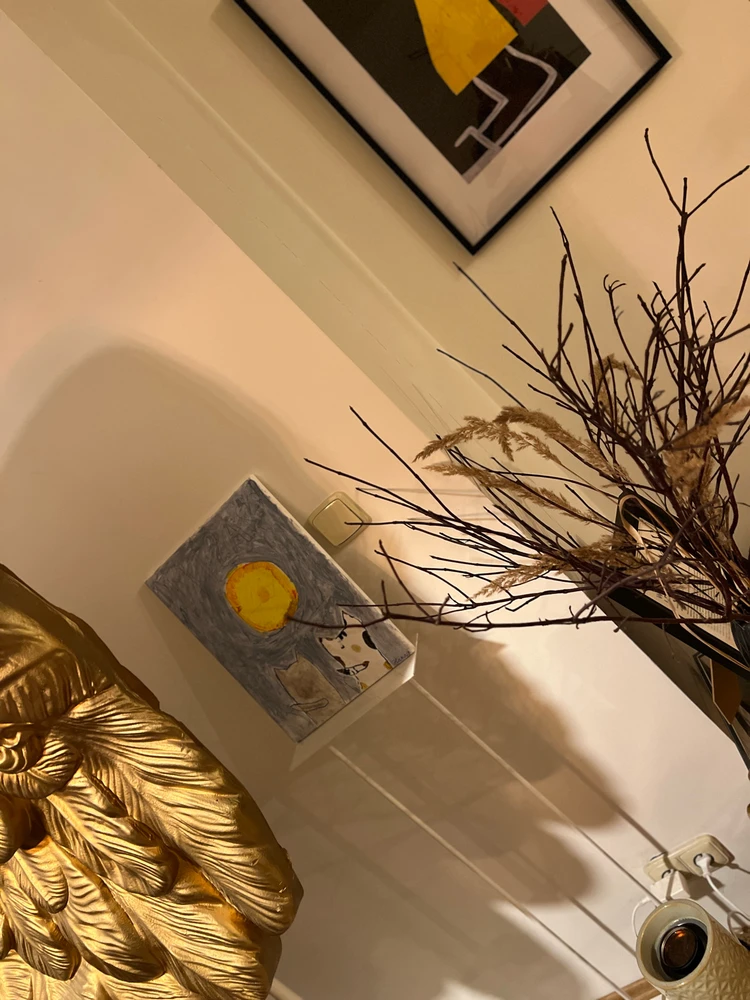 Obrázek nahrál mira