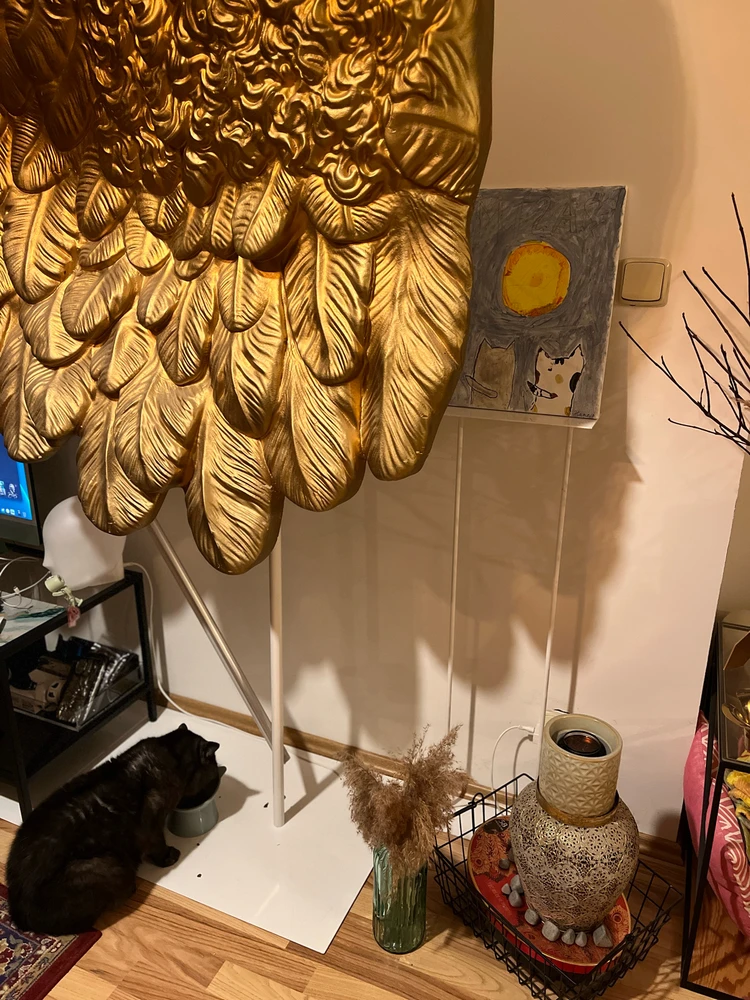 Obrázek nahrál mira