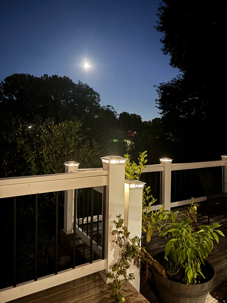 Image uploaded by Izzy