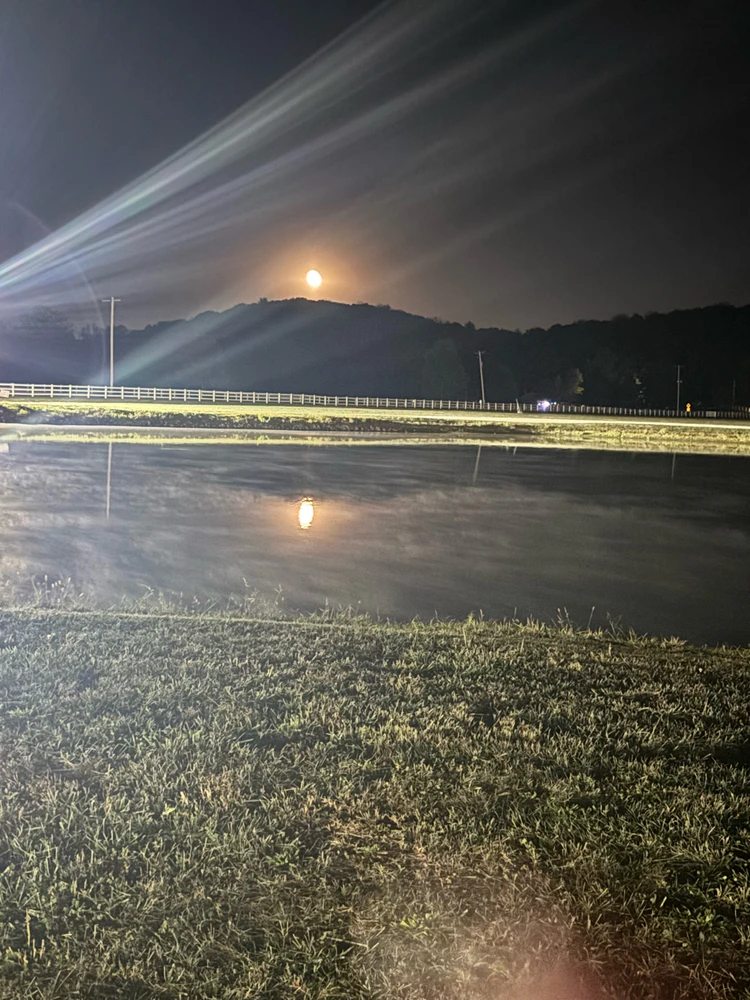 Image uploaded by Izzy