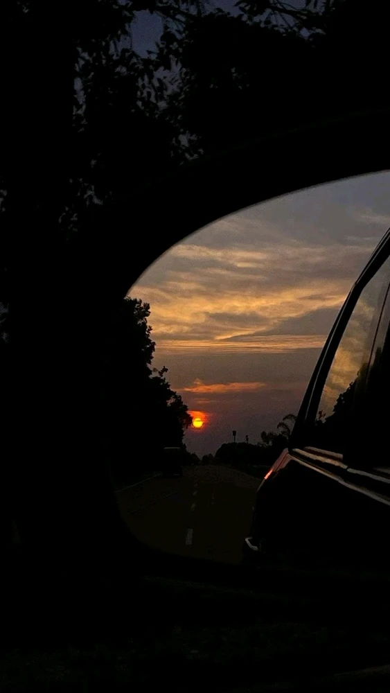 GIF subido por Andrew