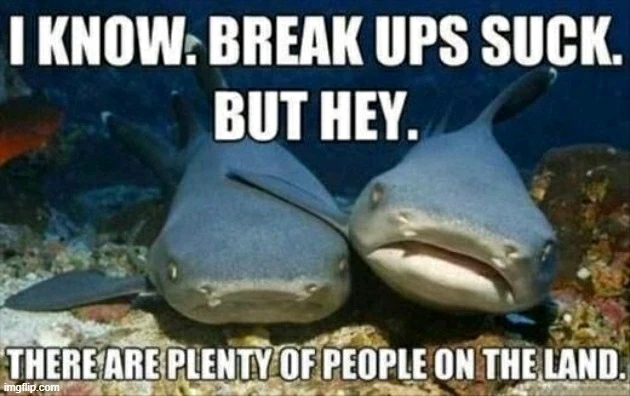 GIF diunggah dening Solo & Chill