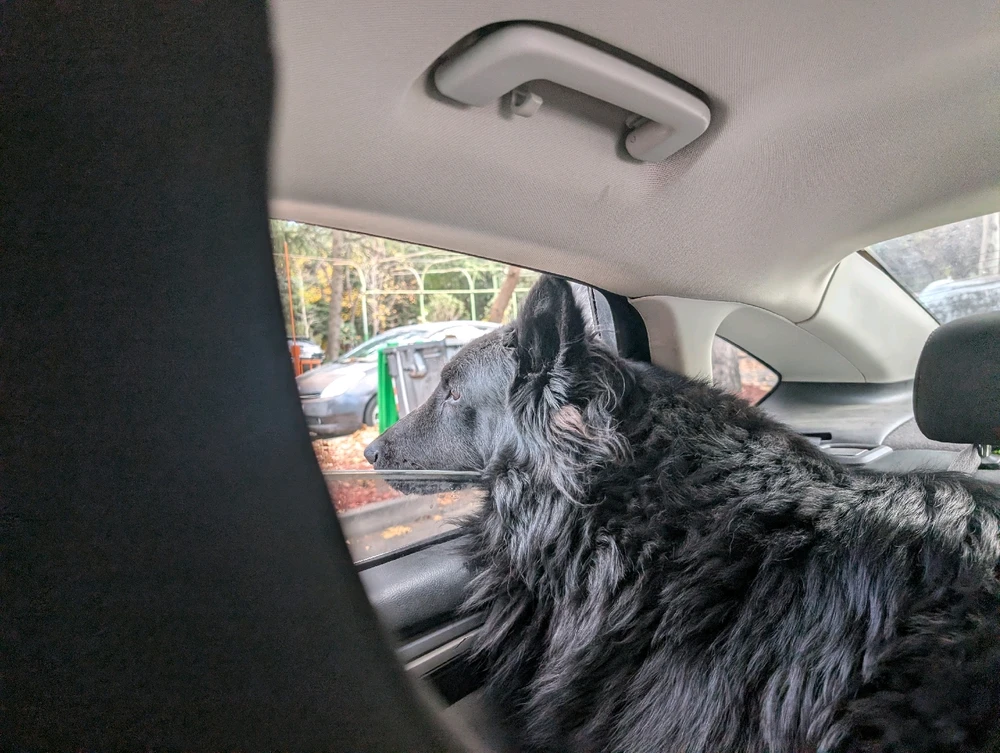 Image uploaded by Mikhael Air