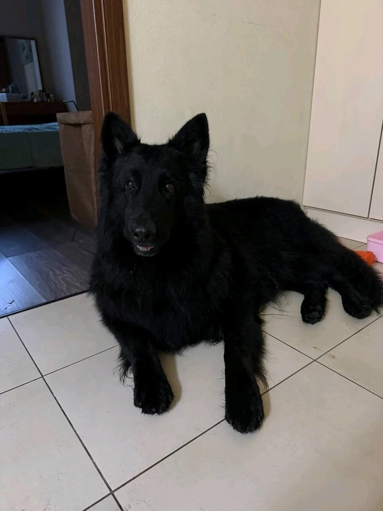 Image uploaded by Mikhael Air