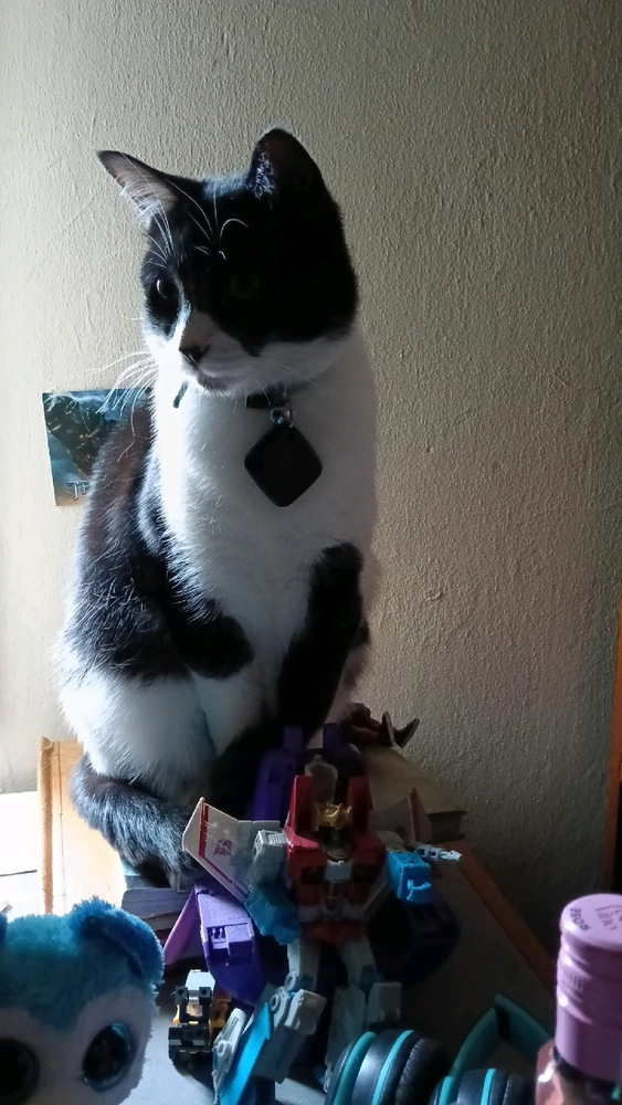 GIF uploaded by Jaikayda