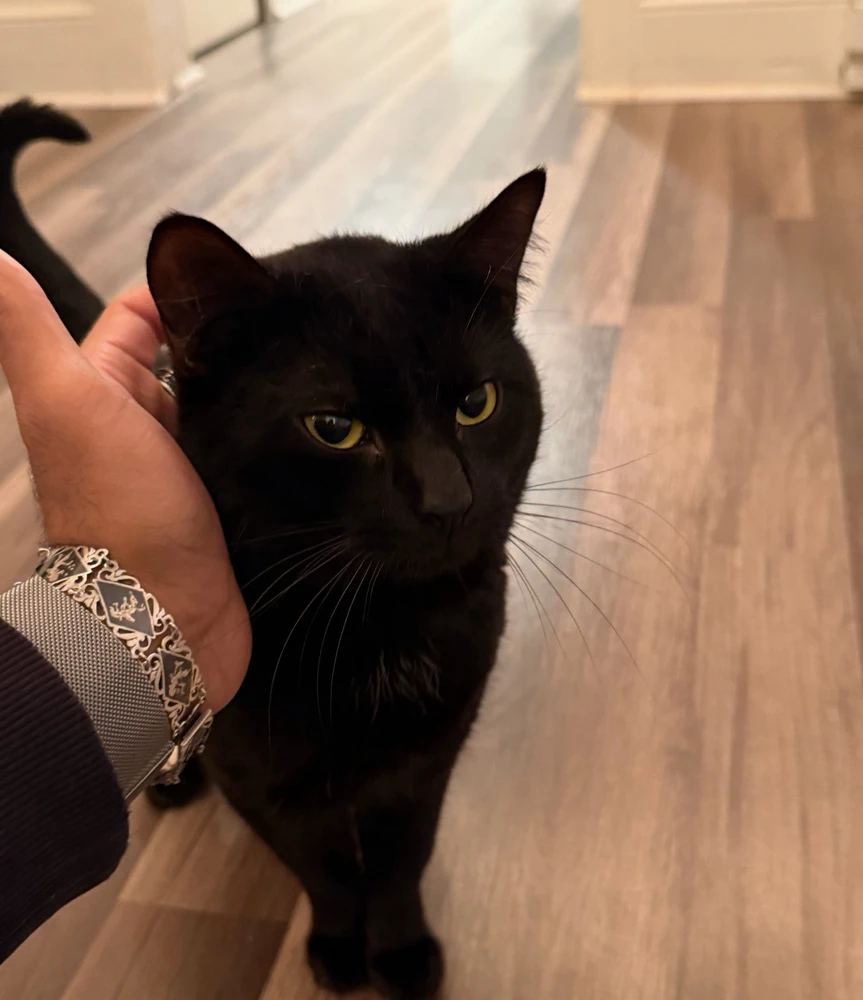 GIF uploaded by Justin