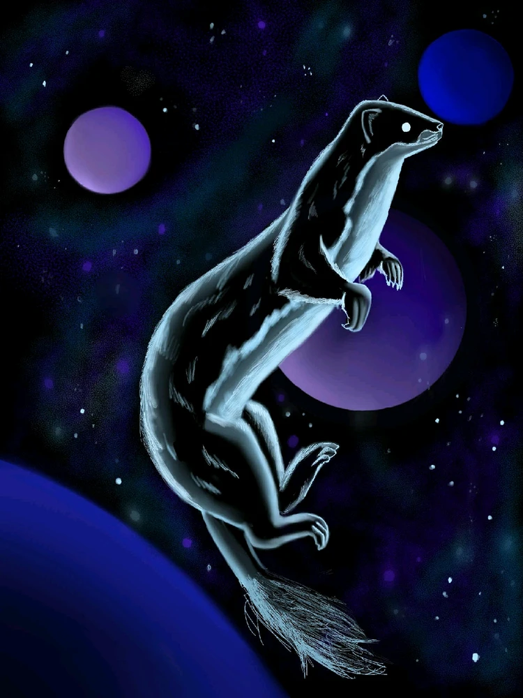 GIF ajouté par Edouard