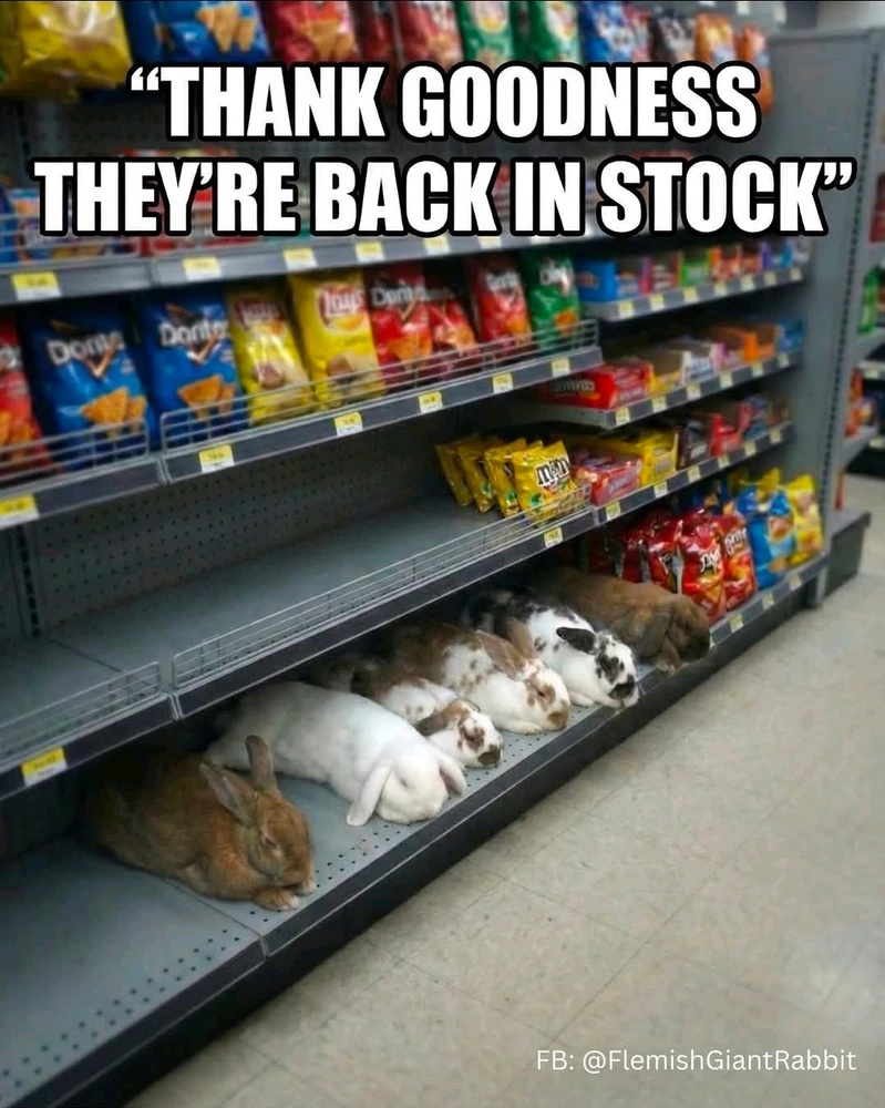 GIF diunggah dening Ronnie