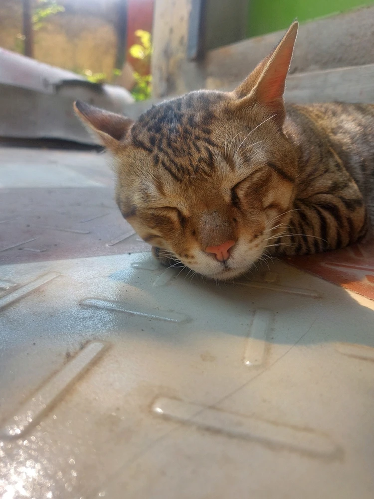 GIF uploaded by Piyush