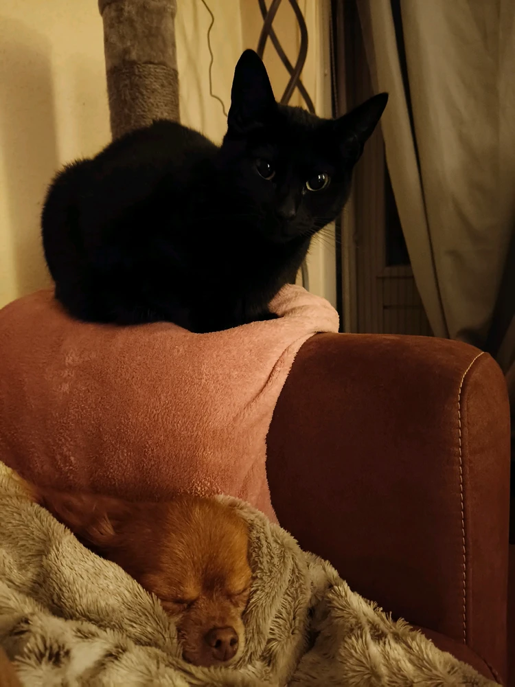 GIF geüpload door Michaela