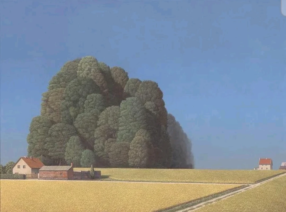 GIF uploaded by Hector