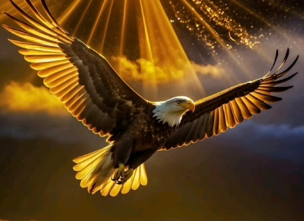 GIF uploaded by Tito