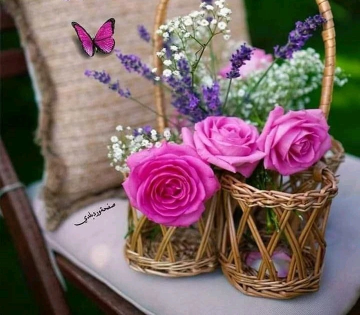 GIF uploaded by Tito