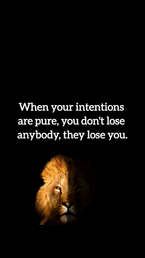 GIF uploaded by Tito