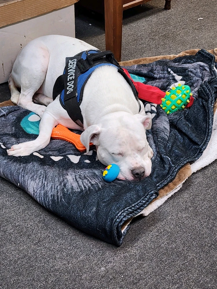 GIF uploaded by Charlie Bonnett