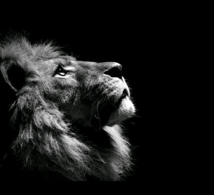 GIF uploaded by Tito