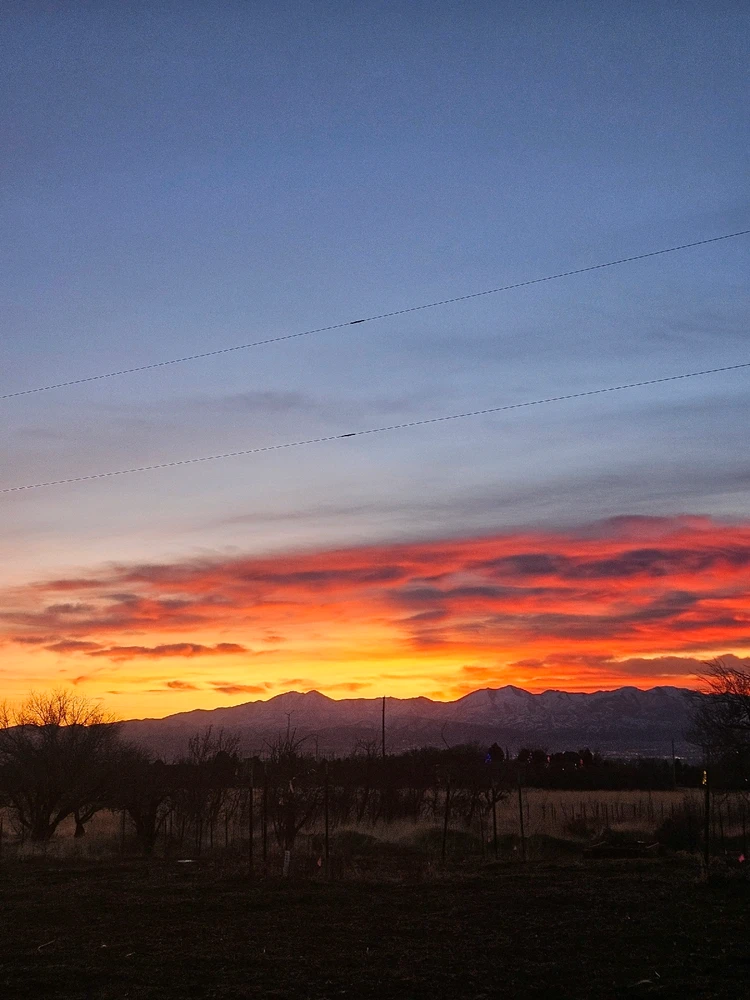 GIF uploaded by Nick